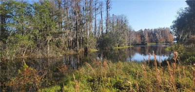 11124 LAKE SHORE Drive, Land O Lakes, FL, 34637 — photo 2