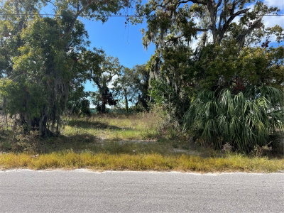 OMAHA Street, Hudson, FL, 34667 — photo 2