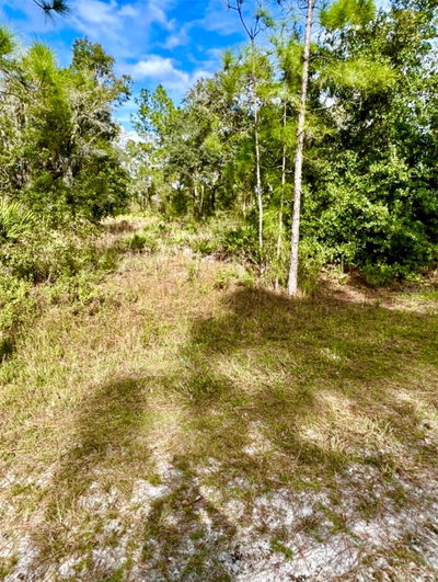 OLEANDER Drive, Indian Lake Estates, FL, 33855 — photo 2