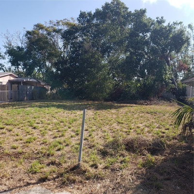 VIRGINIA Avenue, Tarpon Springs, FL, 34689 — photo 2