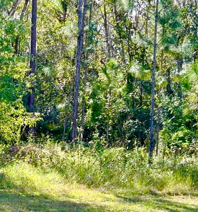 1011 INDIAN LAKE Drive, Indian Lake Estates, FL, 33855 — photo 2