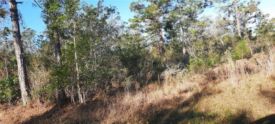 623 GRANADA Drive, Indian Lake Estates, FL, 33855 — photo 2