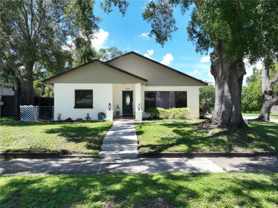 2207 OHIO Avenue, Tampa, FL, 33607 — photo 2
