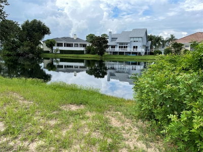 2042 POINTE ALEXIS Drive, Tarpon Springs, FL, 34689 — photo 2