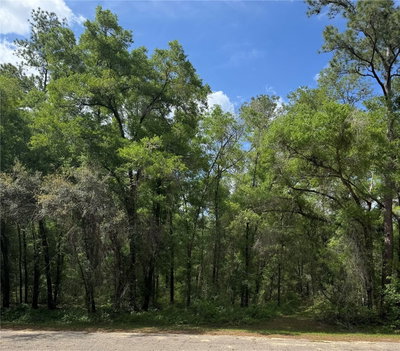 455 AVONDALE Drive, Dunnellon, FL, 34434 — photo 2