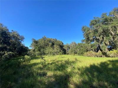 8701 FRUITION Avenue, Floral City, FL, 34436 — photo 2