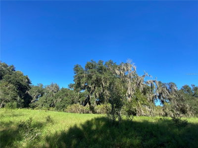 7373 SAVANNAH Court, Floral City, FL, 34436 — photo 2