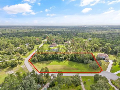 13615 GOPHER POND CT, Hudson, FL, 34669 — photo 2
