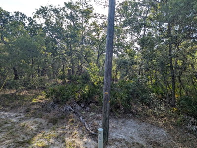 19036 RETRIEVER Road, Brooksville, FL, 34614 — photo 2