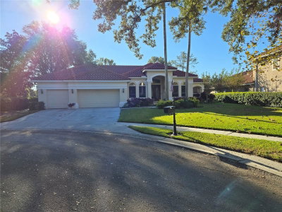 9127 WOODRIDGE RUN Drive, Tampa, FL, 33647 — photo 2