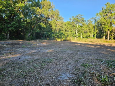 359 SAVANNAH OAKS Drive, Brooksville, FL, 34602 — photo 2