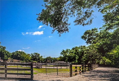 10520 HENDERSON Road, Tampa, FL, 33625 — photo 2