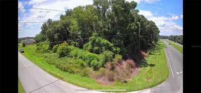 Corner 142ND PLACE & S US HWY-301, Summerfield, FL, 34491 — photo 2
