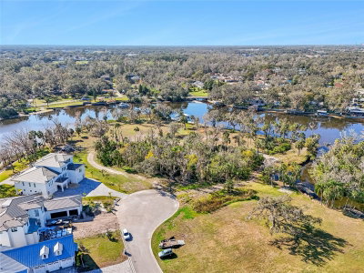 8331 ALAFIA POINTE Drive, Riverview, FL, 33578 — photo 2