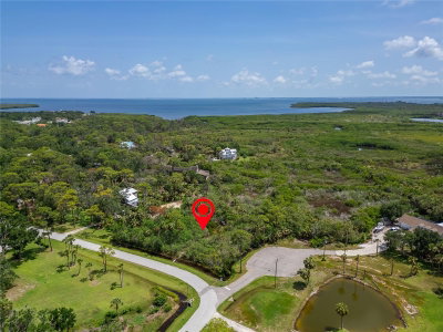 STRATHMORE Avenue, Oldsmar, FL, 34677 — photo 2