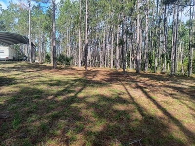 540 326TH Avenue, Steinhatchee, FL, 32359 — photo 2