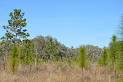 00 UNNAMED, Spring Hill, FL, 34610 — photo 2