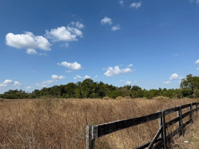 12828 FORT KING Highway, Thonotosassa, FL, 33592 — photo 2