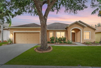 10903 WILDCAT Drive, Riverview, FL, 33579 — photo 2