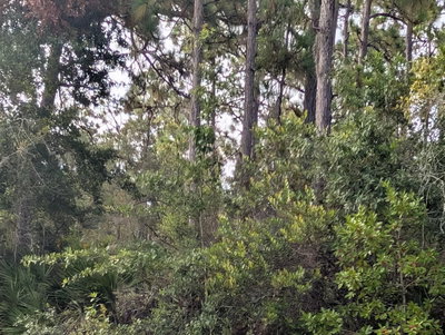 523 AZALEA Drive, Indian Lake Estates, FL, 33855 — photo 2