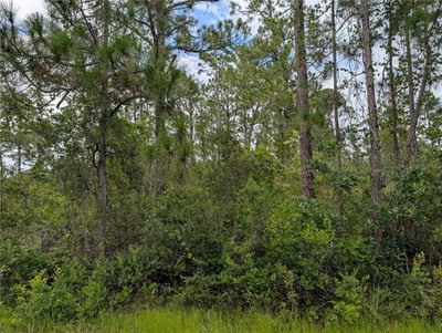 302 PANDORA Drive, Indian Lake Estates, FL, 33855 — photo 2