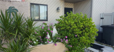 2214 OAK WIND Drive, Holiday, FL, 34691 — photo 2