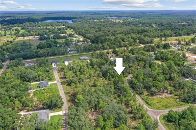 0024 GUAVA PASS Drive, Ocklawaha, FL, 32179 — photo 2