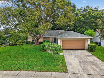 3602 PLAYER Drive, New Port Richey, FL, 34655 — photo 2