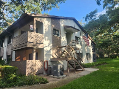 603 BALDWIN Avenue, Safety Harbor, FL, 34695 — photo 2