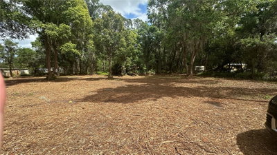 TURKEY CREEK, Plant City, FL, 33566 — photo 2