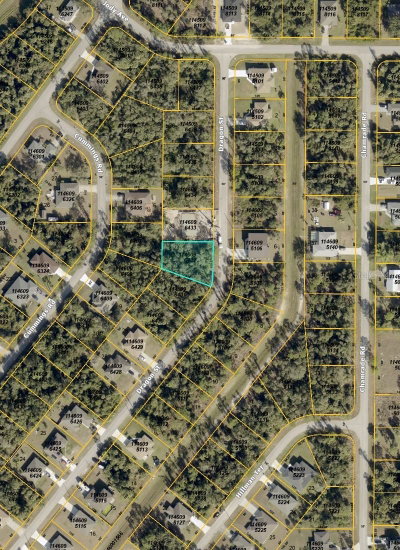 00 DRAGON Street, North Port, FL, 34288 — photo 2