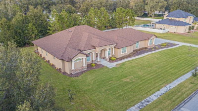 13102 DONE GROVEN Drive, Dover, FL, 33527 — photo 2
