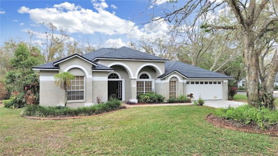 17307 OAK LEDGE Drive, Lutz, FL, 33549 — photo 2