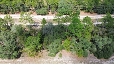 3341 WILHELM Street, Citrus Springs, FL, 34433 — photo 2