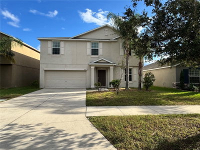 10013 CRESTED FRINGE Drive, Riverview, FL, 33578 — photo 2