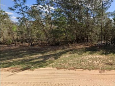 UNASSIGNED RD, Interlachen, FL, 32148 — photo 2
