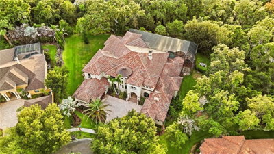 16220 TERNGLADE Drive, Lithia, FL, 33547 — photo 2