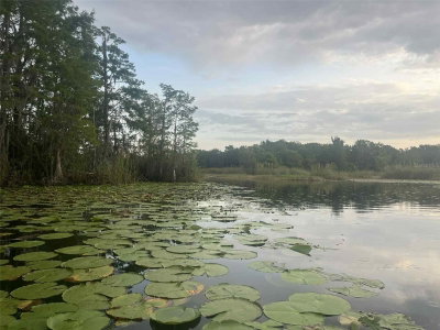 1135 JACKADEE Point, Inverness, FL, 34453 — photo 2