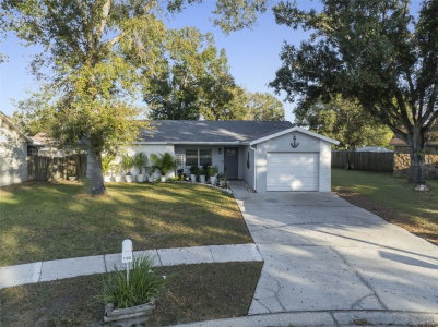 11305 SILVERLEAF Court, Riverview, FL, 33579 — photo 2