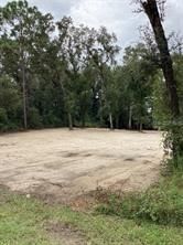 SMALLMAN Street, Webster, FL, 33597 — photo 2