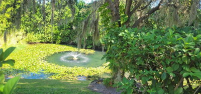 1004 OLD MILL POND Road, Palm Harbor, FL, 34683 — photo 2