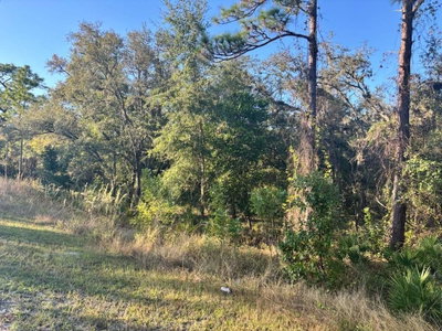 33193 EASTER Drive, Webster, FL, 33597 — photo 2