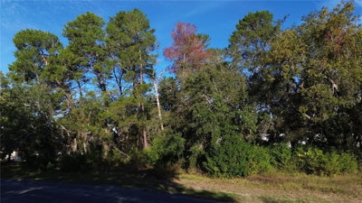 7939 RHANBUOY Road, Spring Hill, FL, 34606 — photo 2