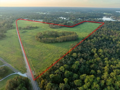16405 BOY SCOUT Road, Odessa, FL, 33556 — photo 2