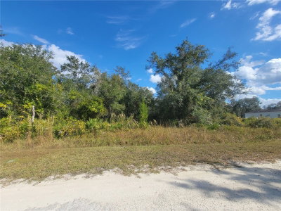9460 ROUSSEAU Street, Webster, FL, 33597 — photo 2