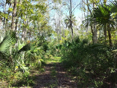 10008 PENNSYLVANIA Street, Homosassa, FL, 34448 — photo 2