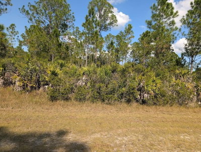 OLEANDER Drive, Indian Lake Estates, FL, 33855 — photo 2