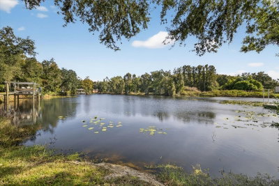 3926 COVE LAKE Place, Land O Lakes, FL, 34639 — photo 2