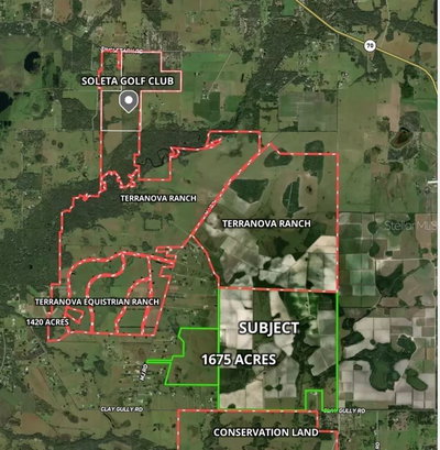 CLAY GULLY Road, Myakka City, FL, 34251 — photo 2