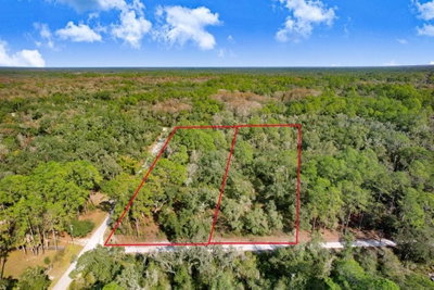 7292 SONIA Avenue, Webster, FL, 33597 — photo 2